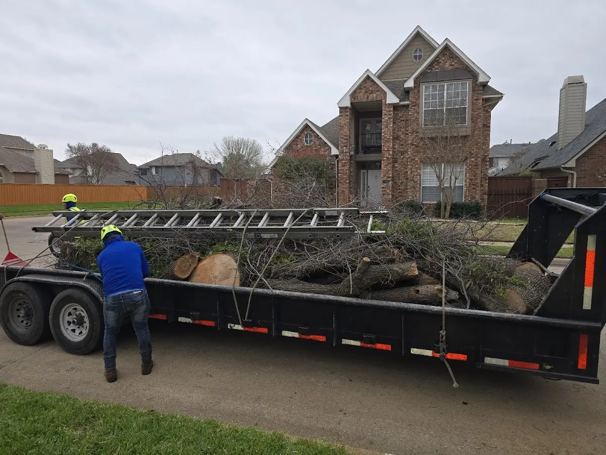 Expert Tree Pest Control with proper safety equipment in Clymer